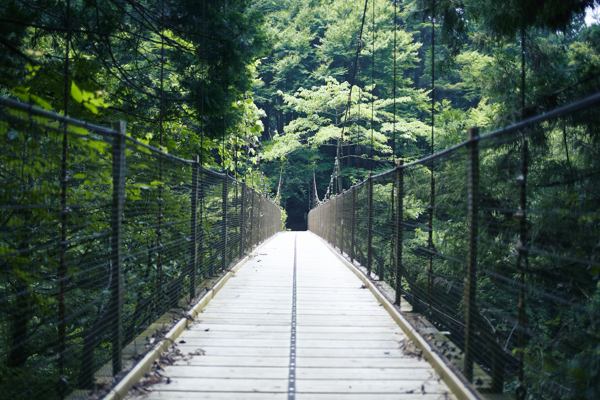 ホームページを公開しました
